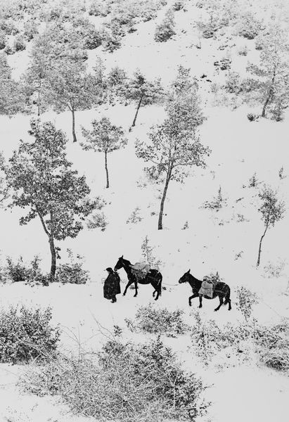 FULVIO ROITER : Umbria, Terra di San Francesco  - Asta Fotografia - Associazione Nazionale - Case d'Asta italiane