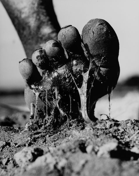 Gian Paolo   Barbieri : La Fabbrica del Sisal, Madagascar  - Asta Fotografia - Associazione Nazionale - Case d'Asta italiane