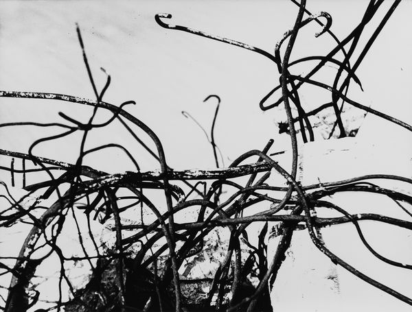 Mario Giacomelli : Favola per un viaggio verso possibili significati interiori  - Asta Fotografia - Associazione Nazionale - Case d'Asta italiane