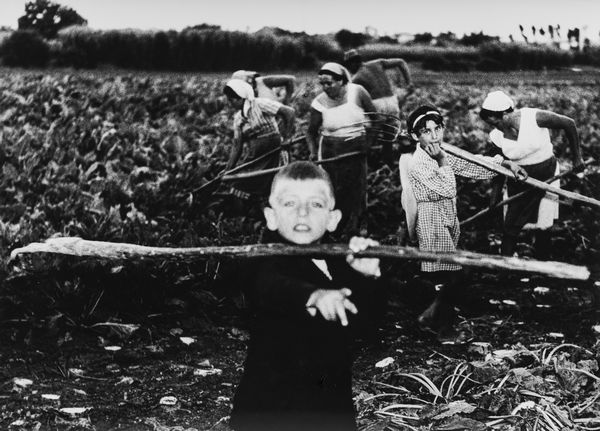 Mario Giacomelli : La Buona Terra  - Asta Fotografia - Associazione Nazionale - Case d'Asta italiane