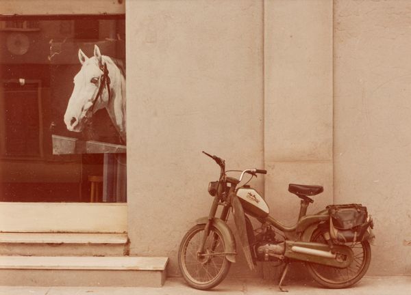 Luigi Ghirri : Portfolio Cantergiani  - Asta Fotografia - Associazione Nazionale - Case d'Asta italiane