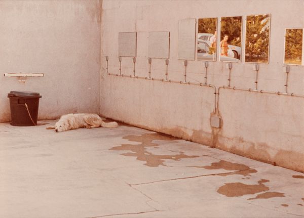 Luigi Ghirri : Portfolio Cantergiani  - Asta Fotografia - Associazione Nazionale - Case d'Asta italiane