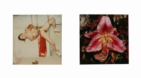 NOBUYOSHI ARAKI : Senza titolo (Bondage e Fiore)  - Asta Fotografia - Associazione Nazionale - Case d'Asta italiane