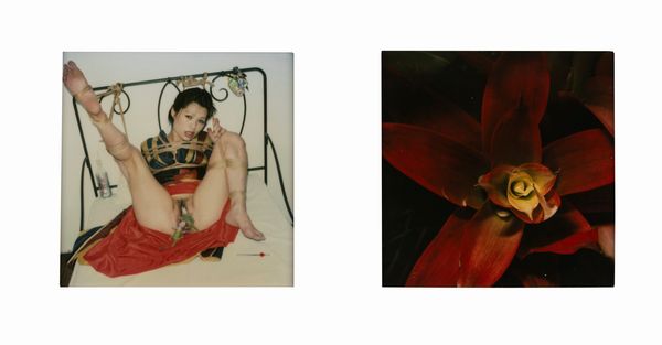 NOBUYOSHI ARAKI : Senza titolo (Bondage e Fiore)  - Asta Fotografia - Associazione Nazionale - Case d'Asta italiane