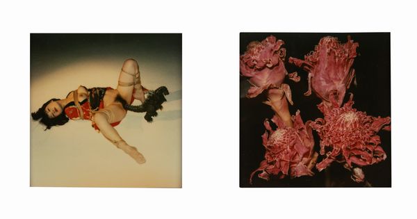 NOBUYOSHI ARAKI : Senza titolo (Bondage e Fiore)  - Asta Fotografia - Associazione Nazionale - Case d'Asta italiane