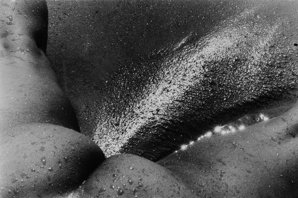 Lucien Clergue : Senza titolo (Nudo)  - Asta Fotografia - Associazione Nazionale - Case d'Asta italiane