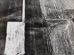 Mario Giacomelli - Presa di coscienza sulla natura