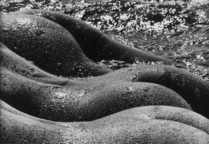 Lucien Clergue - Les Geantes Camargue