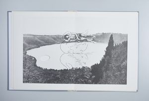 PAOLINI GIULIO (n. 1940) : L'EXIL DU CIGNE, 1984  - Asta Asta 448 | GRAFICA MODERNA, FOTOGRAFIA E MULTIPLI D'AUTORE Virtuale - Associazione Nazionale - Case d'Asta italiane