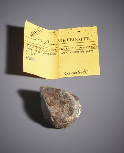 . : Meteorite NWA con certificato di autenticit. Africa.  - Asta Asta 450 | WUNDERKAMMER, CURIOSITIES & ETNOGRAFICA - A GENTLEMAN' S CABINET OF CURIOSITIES Online - Associazione Nazionale - Case d'Asta italiane