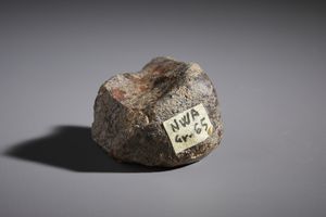 . : Meteorite NWA con certificato di autenticit. Africa.  - Asta Asta 450 | WUNDERKAMMER, CURIOSITIES & ETNOGRAFICA - A GENTLEMAN' S CABINET OF CURIOSITIES Online - Associazione Nazionale - Case d'Asta italiane