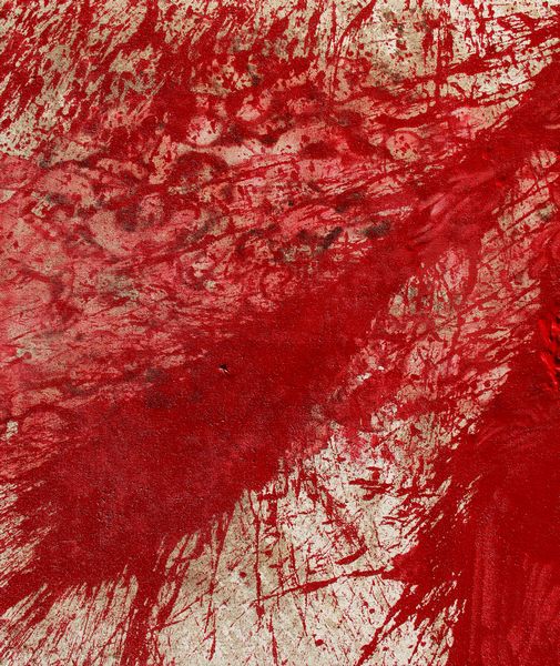 Hermann Nitsch : SF_KURT_10  - Asta Arte Moderna e Contemporanea - Associazione Nazionale - Case d'Asta italiane