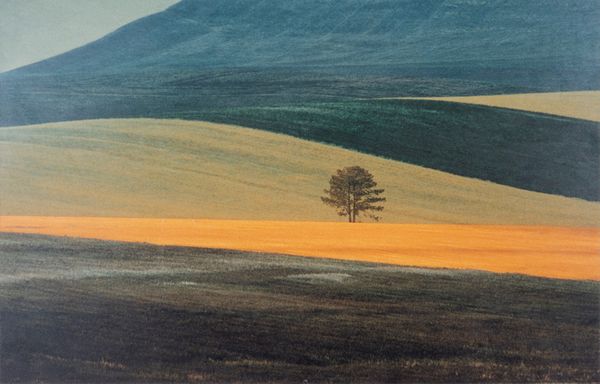 FRANCO  FONTANA : Paesaggio Basilicata  - Asta Arte moderna e contemporanea - Dipinti del XIX e XX secolo - Associazione Nazionale - Case d'Asta italiane