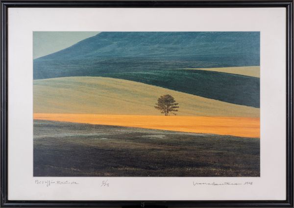 FRANCO  FONTANA : Paesaggio Basilicata  - Asta Arte moderna e contemporanea - Dipinti del XIX e XX secolo - Associazione Nazionale - Case d'Asta italiane