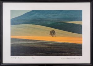 FRANCO  FONTANA : Paesaggio Basilicata  - Asta Arte moderna e contemporanea - Dipinti del XIX e XX secolo - Associazione Nazionale - Case d'Asta italiane