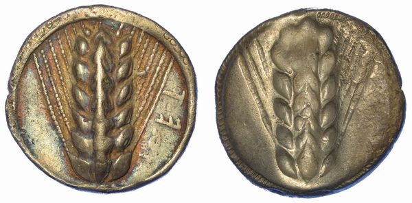 LUCANIA - METAPONTO. Nomos, VI-inizio V sec. a.C.  - Asta Numismatica - Associazione Nazionale - Case d'Asta italiane