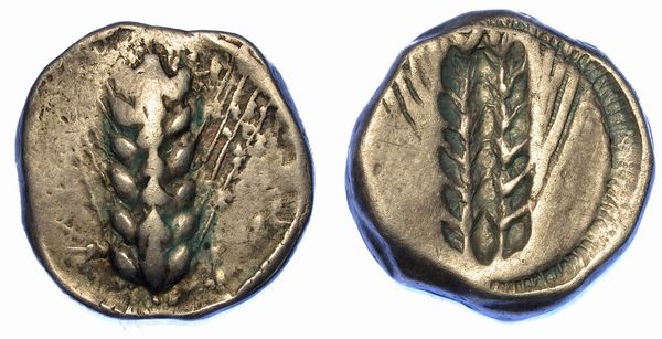 LUCANIA - METAPONTO. Nomos, 470-440 a.C.  - Asta Numismatica - Associazione Nazionale - Case d'Asta italiane