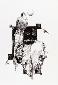 Sergio Toppi - Falconiere