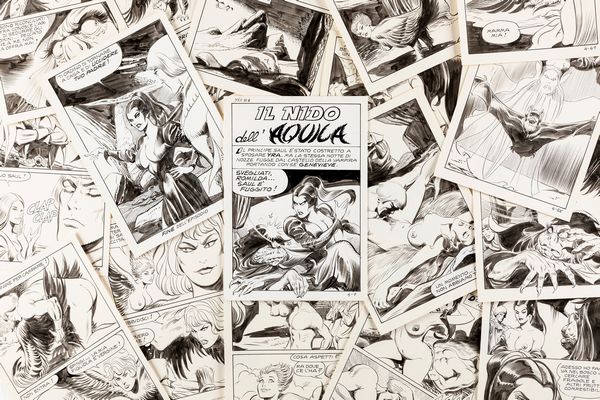 Leone Frollo : Yra - Il nido dell'aquila  - Asta Fumetti: Tavole e Illustrazioni Originali - Associazione Nazionale - Case d'Asta italiane