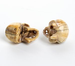 Due teschi in avorio marino  - Asta Argenti, avori, coralli e altri oggetti d'arte provenienti da importanti collezioni private - Associazione Nazionale - Case d'Asta italiane