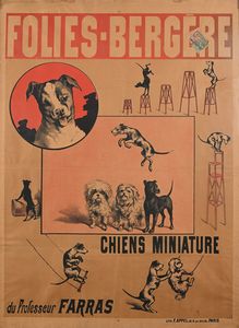 Anonimo del XIX secolo - Folies Bergere - Chiens Miniature du Professeur Farras