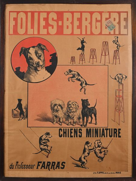 Anonimo del XIX secolo : Folies Bergere - Chiens Miniature du Professeur Farras  - Asta La Collezione Enrico e Antonello Falqui. Di padre in figlio una vita nell'arte. - Associazione Nazionale - Case d'Asta italiane