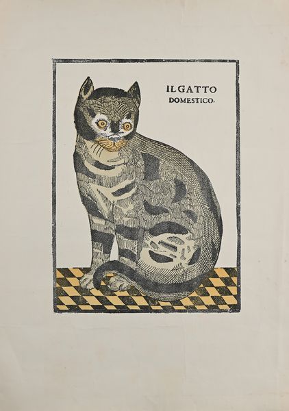 Il Gatto domestico litografia di Ramondini  - Asta La Collezione Enrico e Antonello Falqui. Di padre in figlio una vita nell'arte. - Associazione Nazionale - Case d'Asta italiane