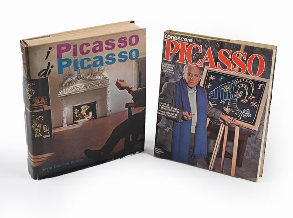 Lotto 2 libri su Picasso: conoscere Picasso Mondadori; i Picasso di  Picasso Garzanti  - Asta La Biblioteca - Associazione Nazionale - Case d'Asta italiane