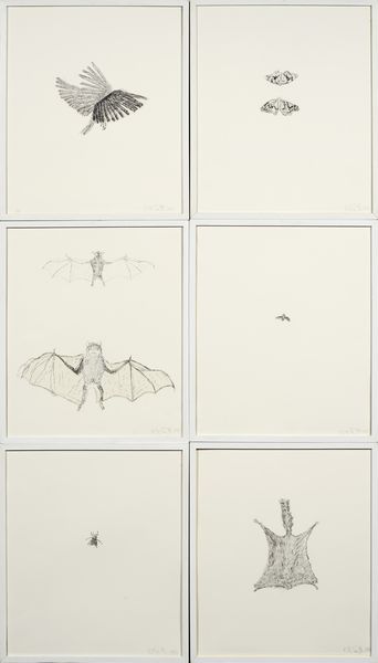 Kiki Smith : Bird, Moth, Bat, Bee, Fly, Squirrel  - Asta Dipinti, Disegni, Sculture e Grafica - Associazione Nazionale - Case d'Asta italiane