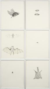 Kiki Smith - Bird, Moth, Bat, Bee, Fly, Squirrel