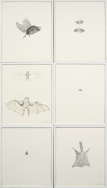 Kiki Smith : Bird, Moth, Bat, Bee, Fly, Squirrel  - Asta Arte Contemporanea - Associazione Nazionale - Case d'Asta italiane