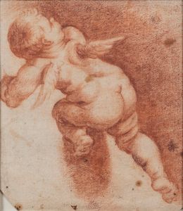 Scuola italiana, secolo XVII - Studio di putto