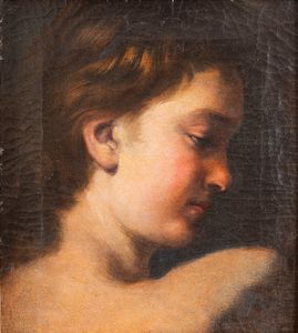 Scuola toscana, secolo XVII - Studio di giovinetto