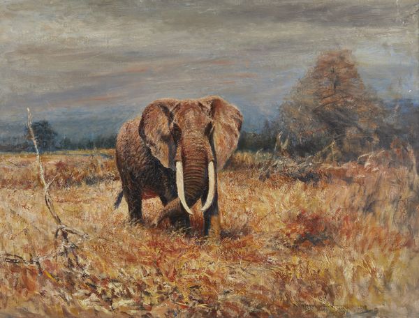 LORENZ WILLY (1901 - 1981) : Attribuito a. Elefante nella savana  - Asta Asta 460 | ARTE ANTICA E DEL XIX SECOLO - Da una dimora veneta e altre committenze Tradizionale - Associazione Nazionale - Case d'Asta italiane