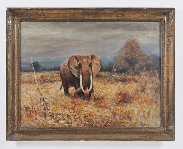 LORENZ WILLY (1901 - 1981) : Attribuito a. Elefante nella savana  - Asta Asta 460 | ARTE ANTICA E DEL XIX SECOLO - Da una dimora veneta e altre committenze Tradizionale - Associazione Nazionale - Case d'Asta italiane