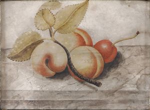 Octavianus Monfort (attivo in Piemonte nel XVII secolo), Attribuito a : Nature morte con composizioni di frutta  - Asta Old Masters - Associazione Nazionale - Case d'Asta italiane