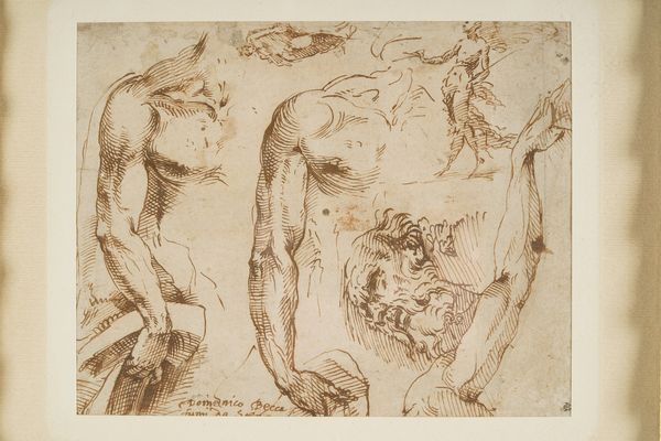 Domenico di Jacopo di Pace detto il Beccafumi : Studi anatomici  - Asta Disegni Antichi - Associazione Nazionale - Case d'Asta italiane