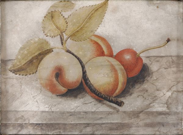 Octavianus Monfort (attivo in Piemonte nel XVII secolo), Attribuito a : Nature morte con composizioni di frutta  - Asta Disegni Antichi - Associazione Nazionale - Case d'Asta italiane