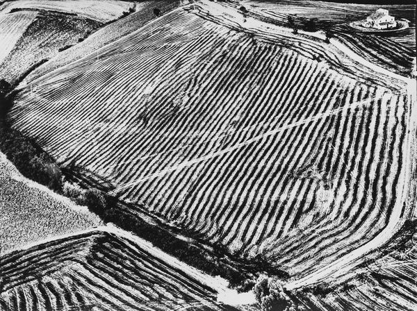 Mario Giacomelli : Presa di coscienza sulla natura  - Asta Fotografia: Under 1K - Associazione Nazionale - Case d'Asta italiane