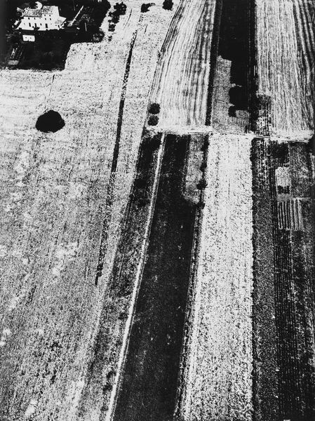 Mario Giacomelli : Presa di coscienza sulla natura  - Asta Fotografia: Under 1K - Associazione Nazionale - Case d'Asta italiane