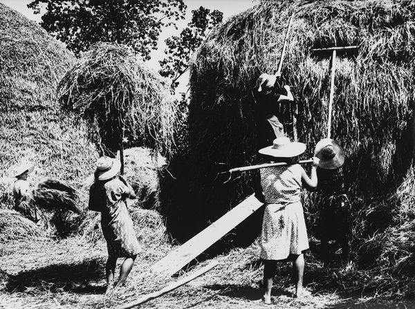 Mario Giacomelli : La Buona Terra  - Asta Fotografia: Under 1K - Associazione Nazionale - Case d'Asta italiane