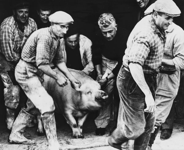 Mario Giacomelli : La Buona Terra  - Asta Fotografia: Under 1K - Associazione Nazionale - Case d'Asta italiane