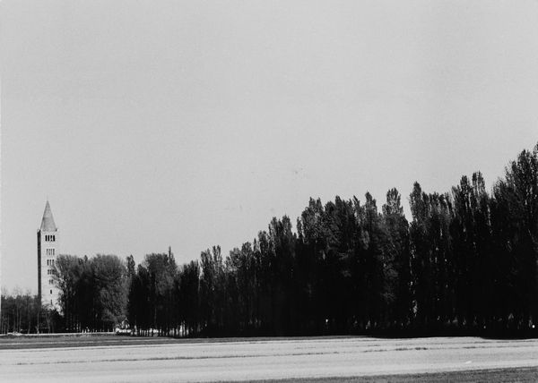 PAOLO MONTI : Pomposa  - Asta Fotografia: Under 1K - Associazione Nazionale - Case d'Asta italiane