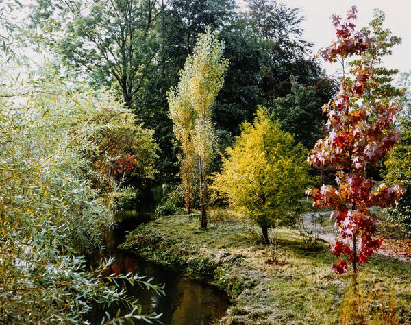 Stephen Shore : Giverny 21  - Asta Fotografia: Under 1K - Associazione Nazionale - Case d'Asta italiane