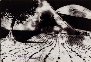 Mario Giacomelli - Presa di coscienza sulla natura