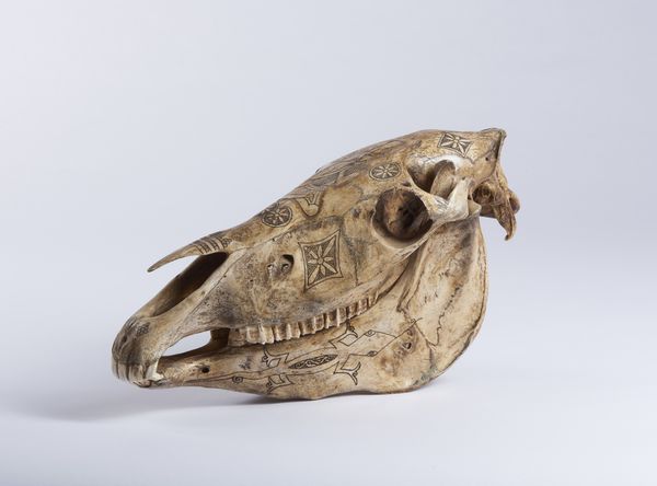 Teschio di cavallo inciso a mano.Isola di Timor, Indonesia, met XX sec.  - Asta Asta 464 | WUNDERKAMMER, CURIOSITIES & ETNOGRAFICA - GENIUS & ART Online - Associazione Nazionale - Case d'Asta italiane