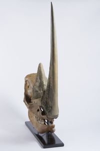 Eccellente esemplare di teschio di rinoceronte lanoso con ottima patina. Pleistocene.  - Asta Asta 464 | WUNDERKAMMER, CURIOSITIES & ETNOGRAFICA - GENIUS & ART Online - Associazione Nazionale - Case d'Asta italiane