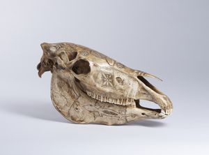 Teschio di cavallo inciso a mano.Isola di Timor, Indonesia, met XX sec.  - Asta Asta 464 | WUNDERKAMMER, CURIOSITIES & ETNOGRAFICA - GENIUS & ART Online - Associazione Nazionale - Case d'Asta italiane