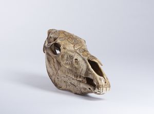 Teschio di cavallo inciso a mano.Isola di Timor, Indonesia, met XX sec.  - Asta Asta 464 | WUNDERKAMMER, CURIOSITIES & ETNOGRAFICA - GENIUS & ART Online - Associazione Nazionale - Case d'Asta italiane