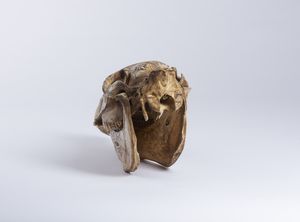 Teschio di cavallo inciso a mano.Isola di Timor, Indonesia, met XX sec.  - Asta Asta 464 | WUNDERKAMMER, CURIOSITIES & ETNOGRAFICA - GENIUS & ART Online - Associazione Nazionale - Case d'Asta italiane